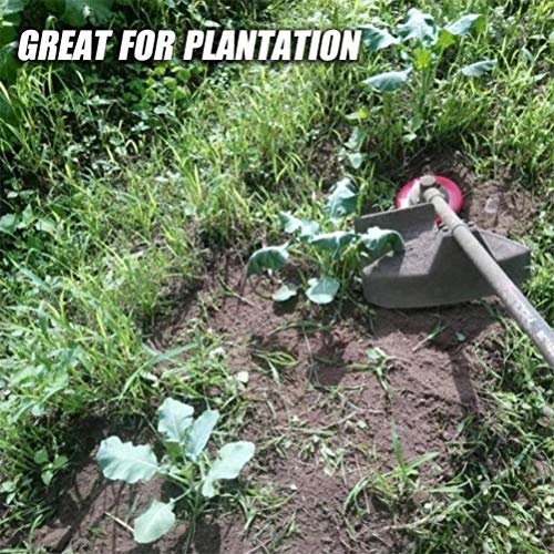 Trimmer Head Weeding Tray, Grass Weeding Mower Tray Manganese Steel Blade Trays for Garden Lawn Edge Weed Brush Tray Lawnmower Weed Cutter Head Tray Plate Mower Brushcutter Accessories
