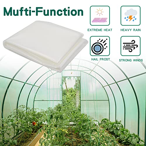 Storystore 2.5 Mil Greenhouse Plastic Film, UV Resistant Polyethylene Film, Green House Hoop Supply Plant Cover Sheeting for Agriculture, Garden (10' x 26')