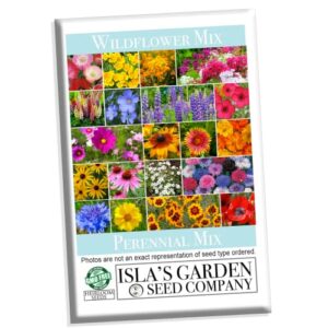 perennial wildflower mix, 600+ flower seeds per packet, (isla’s garden seeds), blend of 17 various perennial wildflowers, non gmo & heirloom seeds