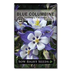 Sow Right Seeds - Perennial Flower Garden Collection for Planting - Russell Lupine, Black-Eyed Susan, Shasta Daisy, Purple Coneflower, and Blue Columbine; Heirloom Seeds, Wonderful Gardening Gift