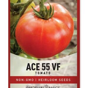 Ace 55 VF Tomato Seeds for Planting Heirloom Non-GMO Seeds for Home Garden Vegetables Makes a Great Gift for Gardening by Gardeners Basics