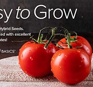 Ace 55 VF Tomato Seeds for Planting Heirloom Non-GMO Seeds for Home Garden Vegetables Makes a Great Gift for Gardening by Gardeners Basics