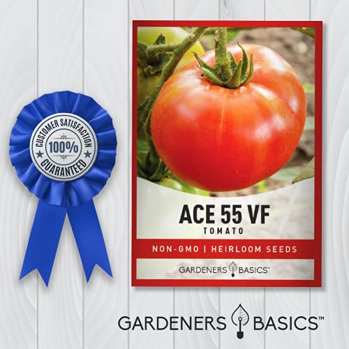 Ace 55 VF Tomato Seeds for Planting Heirloom Non-GMO Seeds for Home Garden Vegetables Makes a Great Gift for Gardening by Gardeners Basics