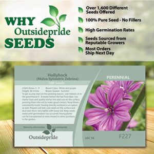 Outsidepride Malva Sylvestris French Hollyhock Zebrina Plant Garden Flower Seed - 1000 Seeds