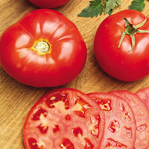 Seeds of Change 6074 Beefsteak Tomato, Red