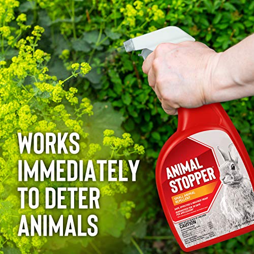 Animal Stopper Repellent - Safe & Effective, All Natural Food Grade Ingredients; Repels Groundhogs, Rabbits, Skunks, Raccoons and Other Garden Animals; Ready to Use, 32 oz. Spray Bottle