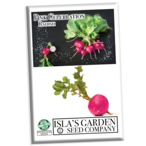 pink celebration radish seeds, 100+ heirloom seeds per packet, (isla’s garden seeds), non gmo seeds, botanical name: raphanus sativus