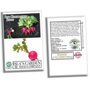 Pink Celebration Radish Seeds, 100+ Heirloom Seeds Per Packet, (Isla's Garden Seeds), Non GMO Seeds, Botanical Name: Raphanus sativus