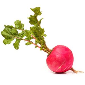 Pink Celebration Radish Seeds, 100+ Heirloom Seeds Per Packet, (Isla's Garden Seeds), Non GMO Seeds, Botanical Name: Raphanus sativus