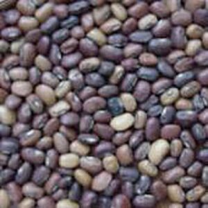 iron & clay cowpeas seeds (20+ seeds) | non gmo | vegetable fruit herb flower seeds for planting | home garden greenhouse pack
