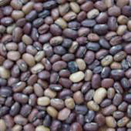 Iron & Clay Cowpeas Seeds (20+ Seeds) | Non GMO | Vegetable Fruit Herb Flower Seeds for Planting | Home Garden Greenhouse Pack