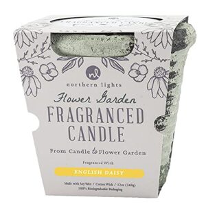 northern lights the flower garden english daisy candle/planter, 12 oz
