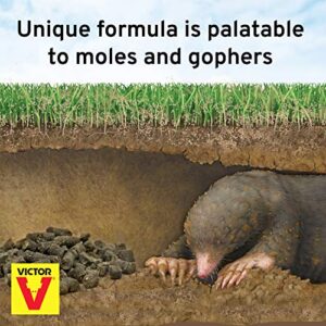 Victor M6006 Outdoor Mole & Gopher Poison Peanuts - Mole and Gopher Bait Killer - 4 Pack