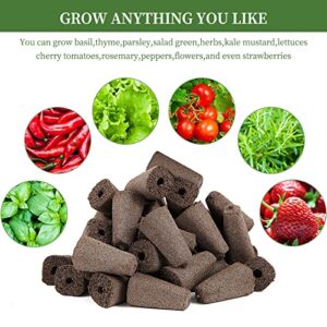 Grow Sponges, Seed Starter Pods Root Growth Sponges Eco-Friendly PH Balanced Square Sponges Replacement Compatible with QYO, LYKO, iDOO IG201Hydroponic Growing System, 50 Pack