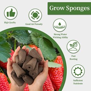 Grow Sponges, Seed Starter Pods Root Growth Sponges Eco-Friendly PH Balanced Square Sponges Replacement Compatible with QYO, LYKO, iDOO IG201Hydroponic Growing System, 50 Pack