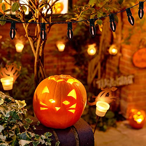 C7 Halloween String Lights - 25ft C7 Lights with 25 LED Transparent Black Purple Bulb(Plus 2 Extra Bulbs), Halloween Lighting Decor for Outdoor Use, Garden, Yard, Home, Party, Holiday, Black Wire