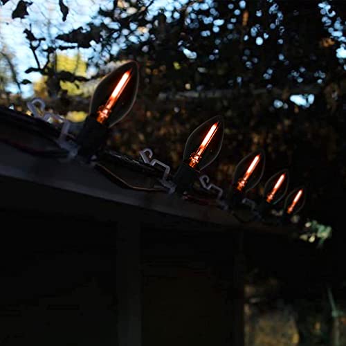 C7 Halloween String Lights - 25ft C7 Lights with 25 LED Transparent Black Purple Bulb(Plus 2 Extra Bulbs), Halloween Lighting Decor for Outdoor Use, Garden, Yard, Home, Party, Holiday, Black Wire