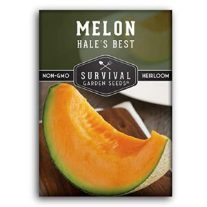 survival garden seeds – hale’s best melon seed for planting – grow juicy cantaloupe for eating – packet with instructions to plant in your home vegetable garden – non-gmo heirloom variety