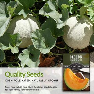 Survival Garden Seeds - Hale's Best Melon Seed for Planting - Grow Juicy Cantaloupe for Eating - Packet with Instructions to Plant in Your Home Vegetable Garden - Non-GMO Heirloom Variety