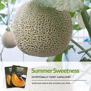 Survival Garden Seeds - Hale's Best Melon Seed for Planting - Grow Juicy Cantaloupe for Eating - Packet with Instructions to Plant in Your Home Vegetable Garden - Non-GMO Heirloom Variety