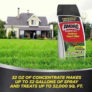 Amdro 100522992 Quick Kill Outdoor Insect Killer, 32 oz
