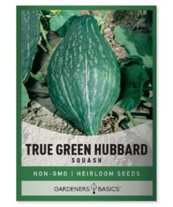 true green hubbard squash seeds for planting – winter squash heirloom, non-gmo vegetable squash variety- 5 grams seeds great for summer gardens by gardeners basics