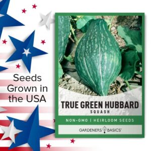 True Green Hubbard Squash Seeds for Planting - Winter Squash Heirloom, Non-GMO Vegetable Squash Variety- 5 Grams Seeds Great for Summer Gardens by Gardeners Basics