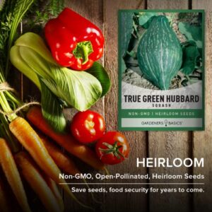 True Green Hubbard Squash Seeds for Planting - Winter Squash Heirloom, Non-GMO Vegetable Squash Variety- 5 Grams Seeds Great for Summer Gardens by Gardeners Basics