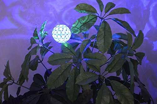 Florals Solar Crystal Ball Globe Light, Solar Power Multi-Color Color Changing LED Decorative Stake Garden Yard Light