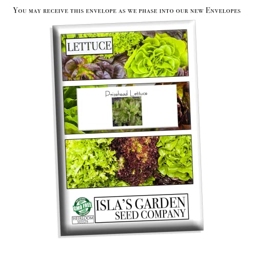 "Prizehead" Lettuce Seeds for Planting, 1000+ Heirloom Seeds Per Packet, (Isla's Garden Seeds), Non GMO Seeds, Botanical Name: Lactuca Sativa, 85% Germination Rates, Great Home Garden Gift