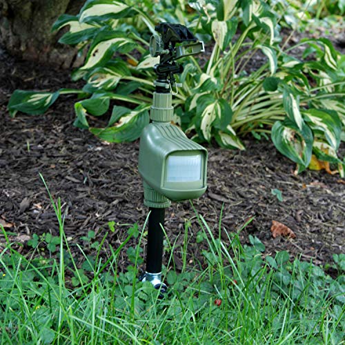 Havahart 5277 Critter Ridder Motion Activated Animal Repellent and Sprinkler - Repel Cats, Dogs, Chipmunks, Groundhogs, Squirrels, Skunks, Deer, and More