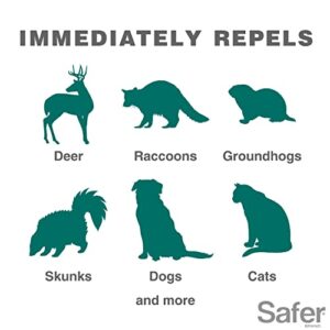 Havahart 5277 Critter Ridder Motion Activated Animal Repellent and Sprinkler - Repel Cats, Dogs, Chipmunks, Groundhogs, Squirrels, Skunks, Deer, and More