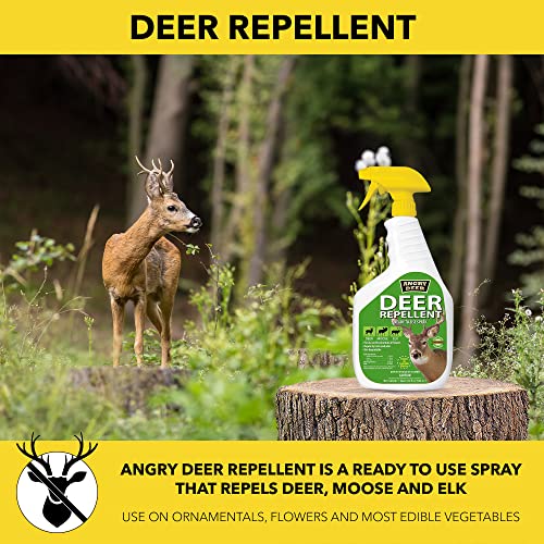 Harris Deer Repellent, Long Lasting Ready to Use Plant Safe Formula, 32oz