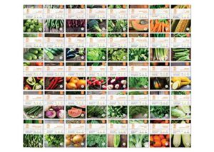 bentley seed co. set of 40 vegetable seeds for planting – gardening seeds to grow in a garden or indoors – get your own seeds for planting vegetables – herb seeds – garden seeds vegetable variety pack