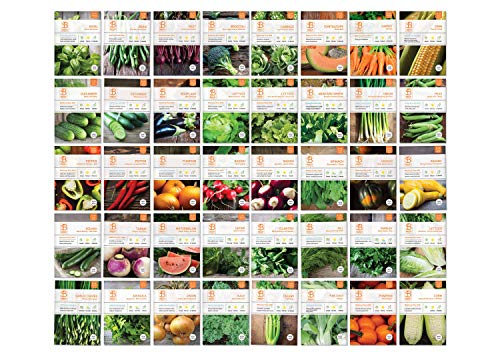 Bentley Seed Co. Set of 40 Vegetable Seeds for Planting - Gardening Seeds to Grow in a Garden or Indoors - Get your own Seeds for Planting Vegetables - Herb Seeds - Garden Seeds Vegetable Variety Pack