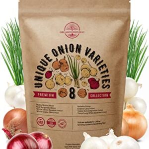 8 Onion Seeds Variety Pack Heirloom, Non-GMO, Onion Seed Sets for Planting Indoors, Outdoors Gardening. 1600+ Seeds: Walla Walla, Green Onion, Red Burgundy, White & Yellow Sweet Spanish Onions & More