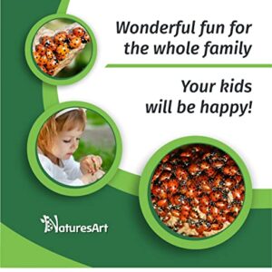 NaturesArt 3000 Live Ladybugs - Good Bugs for Garden - Ladybug - Guaranteed Live Delivery!