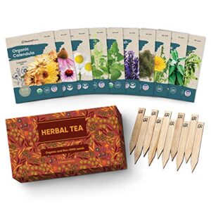 herbal tea seeds variety pack – 10 medicinal herbs seed packets – certified organic non gmo herb seeds – gifts for tea lovers