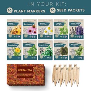 Herbal Tea Seeds Variety Pack - 10 Medicinal Herbs Seed Packets - Certified Organic Non GMO Herb Seeds - Gifts for Tea Lovers