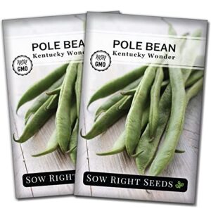 sow right seeds – kentucky wonder bean seed for planting – non-gmo heirloom packet with instructions to plant a home vegetable garden (2)