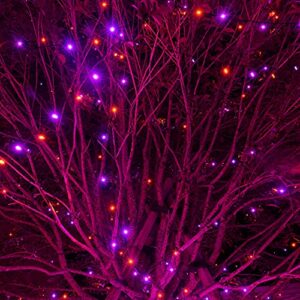 Dazzle Bright 240 LED Halloween String Lights, 78 FT Connectable Waterproof Fairy Lights with 8 Modes for Indoor Outdoor Party Yard Garden Christmas Decorations (Purple & Orange)