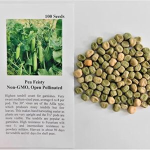David's Garden Seeds Pea Snap Feisty FBA-2722 (Green) 100 Non-GMO, Open Pollinated Seeds