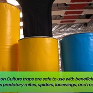 Giant Yellow Sticky Traps - Tape Roll, 30cm x 100m - Insect Sticky Traps Plant Traps for Flying Insects, Fruit Fly, gnats Lantern Flies, for Garden Plant Outdoor/Indoor