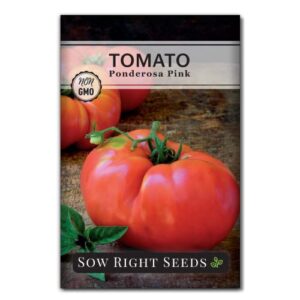 sow right seeds – ponderosa pink tomato seed for planting – non-gmo heirloom packet with instructions to plant and grow an outdoor home vegetable garden – large delicious beefsteak – great gift