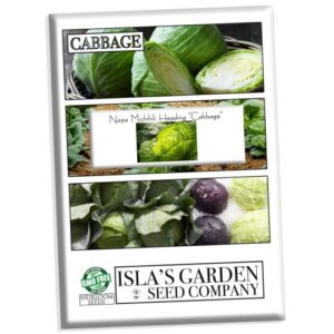 “napa michihili heading” cabbage seeds for planting, 1000+ heirloom seeds per packet, (isla’s garden seeds), non gmo seeds, botanical name: brassica oleracea var. capitata, great home garden gift