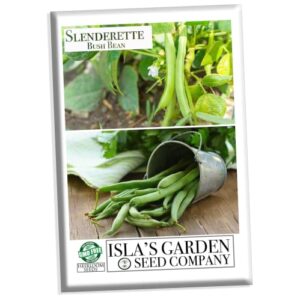 "Slenderette" Bush Bean Seeds for Planting, 50+ Heirloom Seeds Per Packet, (Isla's Garden Seeds), Non GMO Seeds, Scientific Name: Phaseolus vulgaris, Great Green Bean Variety for Home Garden