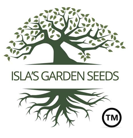 "Slenderette" Bush Bean Seeds for Planting, 50+ Heirloom Seeds Per Packet, (Isla's Garden Seeds), Non GMO Seeds, Scientific Name: Phaseolus vulgaris, Great Green Bean Variety for Home Garden
