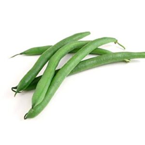 "Slenderette" Bush Bean Seeds for Planting, 50+ Heirloom Seeds Per Packet, (Isla's Garden Seeds), Non GMO Seeds, Scientific Name: Phaseolus vulgaris, Great Green Bean Variety for Home Garden