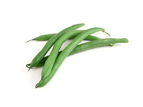 "Slenderette" Bush Bean Seeds for Planting, 50+ Heirloom Seeds Per Packet, (Isla's Garden Seeds), Non GMO Seeds, Scientific Name: Phaseolus vulgaris, Great Green Bean Variety for Home Garden