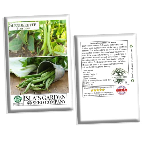 "Slenderette" Bush Bean Seeds for Planting, 50+ Heirloom Seeds Per Packet, (Isla's Garden Seeds), Non GMO Seeds, Scientific Name: Phaseolus vulgaris, Great Green Bean Variety for Home Garden